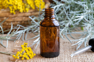A bottle of helichrysum essential oil with fresh blooming helichrysum plant