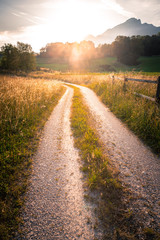 Feldweg und Getreidefeld im Sonnenuntergang, Harmonie 