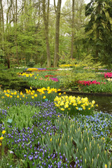 Colorful Surroundings