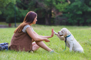 Beautiful young girl playing with a puppy Labrador in the park 
