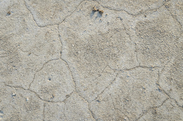 Surface of the dried earth covered with salt. The texture of the cracked earth. Abstract backround photo.  Ecology concept of wasted land and water resources. 