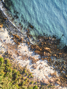 Coastal Tones