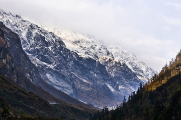 Fototapeta na wymiar Langtang Himalayas Valley Trekking Nepal