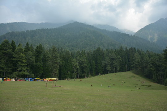Deno Valley in Kashmir