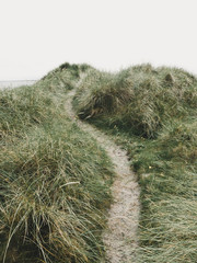 Path through the Dunes