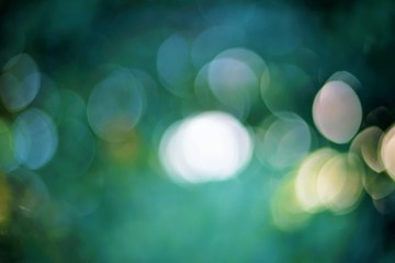 Obraz premium bokeh circles on a green background