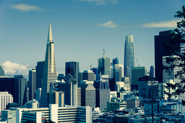 skyline of san franscisco, cityscape of san francisco down town. cold color processed.