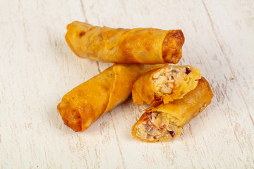 Appetizing spring rolls