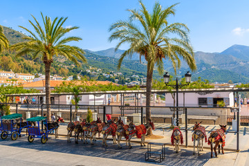 MIJAS VILLAGE, SPAIN - MAY 9, 2018: Donkeys waiting for tourists in white village of Mijas, Andalusia. These animals are serving as taxi in mountain villages of southern Spain.