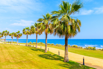 Fototapeta na wymiar Walking alley with palm trees along beach near Estepona town on Costa del Sol, Spain