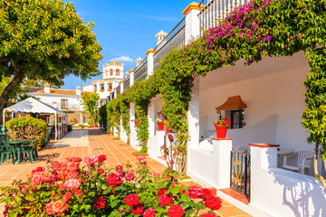 Tropical plants in front of a typical house in small village near Marbella. Andalusia, Spain - obrazy, fototapety, plakaty