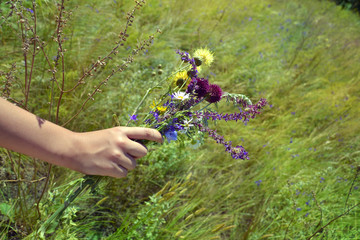 wildflowers in hands
