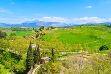 Fototapeta premium Green landscape of Spanish countryside in Ronda town, Andalusia, Spain