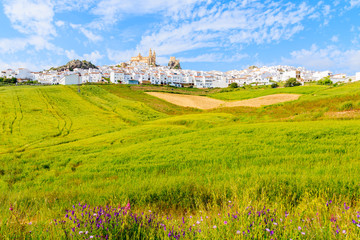 Olvera village with white houses and green fields in foreground in spring season, Andalusia, Spain