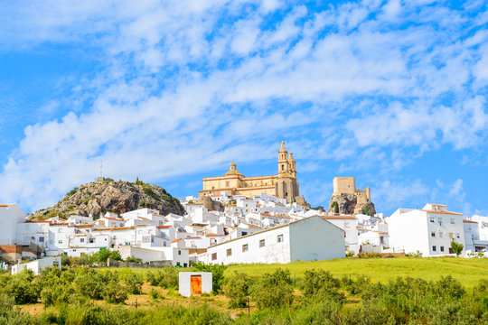 Olvera village with white houses and green fields in foreground in spring season, Andalusia, Spain