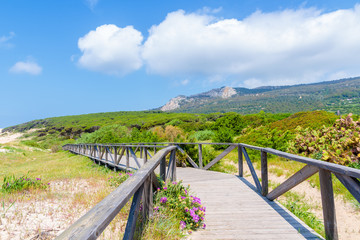 Fototapeta na wymiar Wooden coastal promenade along Bolonia beach, Andalusia, Spain
