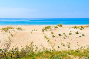Grass sand dune and blue sea view on white sand Bolonia beach, Andalusia, Spain