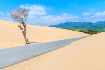 Road to Paloma beach among sand dunes, Andalusia, Spain