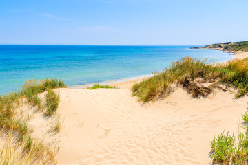 Fototapeta na wymiar Grass sand dunes on Paloma beach, Andalusia, Spain
