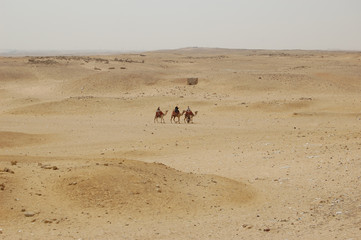 caravan in the desert
