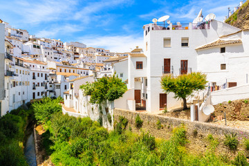 Fototapeta na wymiar White houses in beautiful village of Sentinel de las Bodegas, Andalusia, Spain