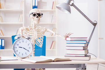 Student skeleton preparing for exams