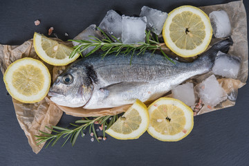 dorada fish with spices, salt and herbs, rosemary on a black stone background