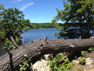 Fototapeta na wymiar New Jersey lake and forest