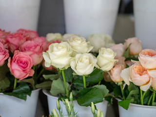 Red, white, pink bouquets of roses sitting outside storefront of flower shop