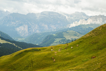 Naklejka na ściany i meble view of Dolomites Alps