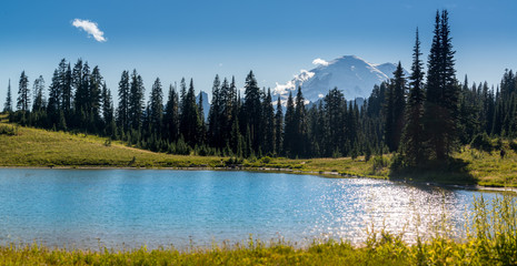 Fototapeta premium Mt Rainier and Tipsoo lake