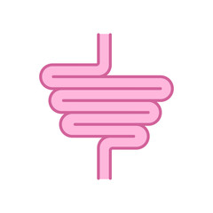 Intestines. digestive tract. Human gut. Vector illustration