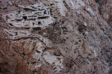 On this photo you can see close-up the structure of the stone, which for many thousands of years...