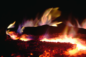 Fototapeta premium flame of a fire burning in the dark night and the burning coals that give warmth to the hearth in the wild.