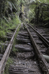 Abandoned and derelict railway for mining operations along the Charming Creek Walkway in the Ngakawau Gorge, West Coast, New Zealand.