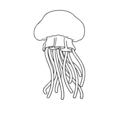 Jelly Fish cartoon illustration isolated on white background for children color book