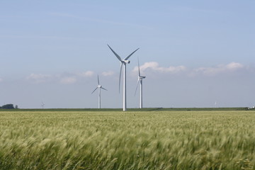 Windräder im Feld