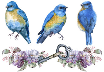 Three blue birds. isolated on white background. 