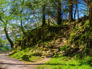 Killarney National Park - a beautiful place in Ireland