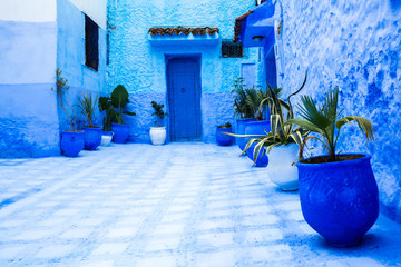 stunning patio with blue walls | chefchaouen, morocco