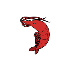 Shrimp cartoon illustration isolated on white background for children color book