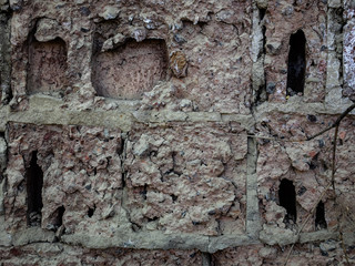 fragment of an old brick wall
