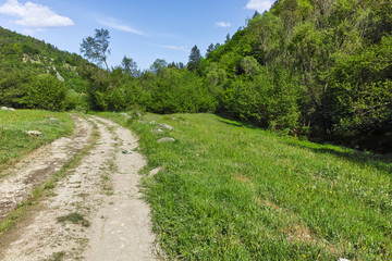 Fototapeta na wymiar Landscape with Green Hills near village of Fotinovo in Rhodopes Mountain, Pazardzhik region, Bulgaria