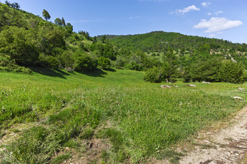 Fototapeta na wymiar Landscape with Green Hills near village of Fotinovo in Rhodopes Mountain, Pazardzhik region, Bulgaria