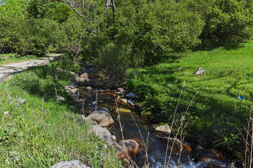 Landscape with Green Hills near village of Fotinovo in Rhodopes Mountain, Pazardzhik region, Bulgaria