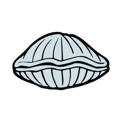 Scallop cartoon illustration isolated on white background for children color book