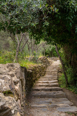 Vertical View of the Path between Corniglia and Vernazza at Summer.