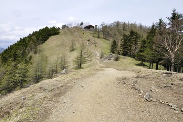 石尾根縦走路からの雲取山