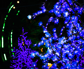 Floresta de árvores coloridas 