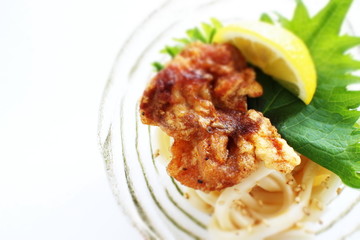 Japanese food, fried chicken and cold udon noodles